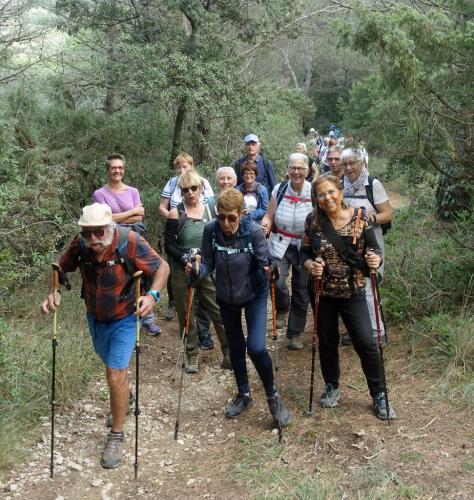 marche-du-22-octobre-2024-2