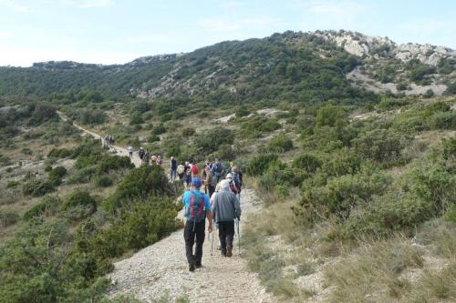 marche-du-22-octobre-2024-4