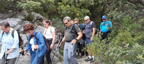 marche-du-22-octobre-2024-8