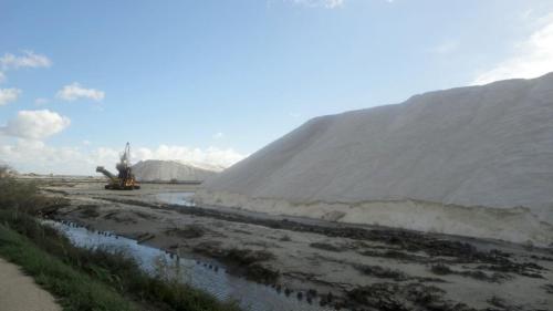 Salins-de-Giraud-03